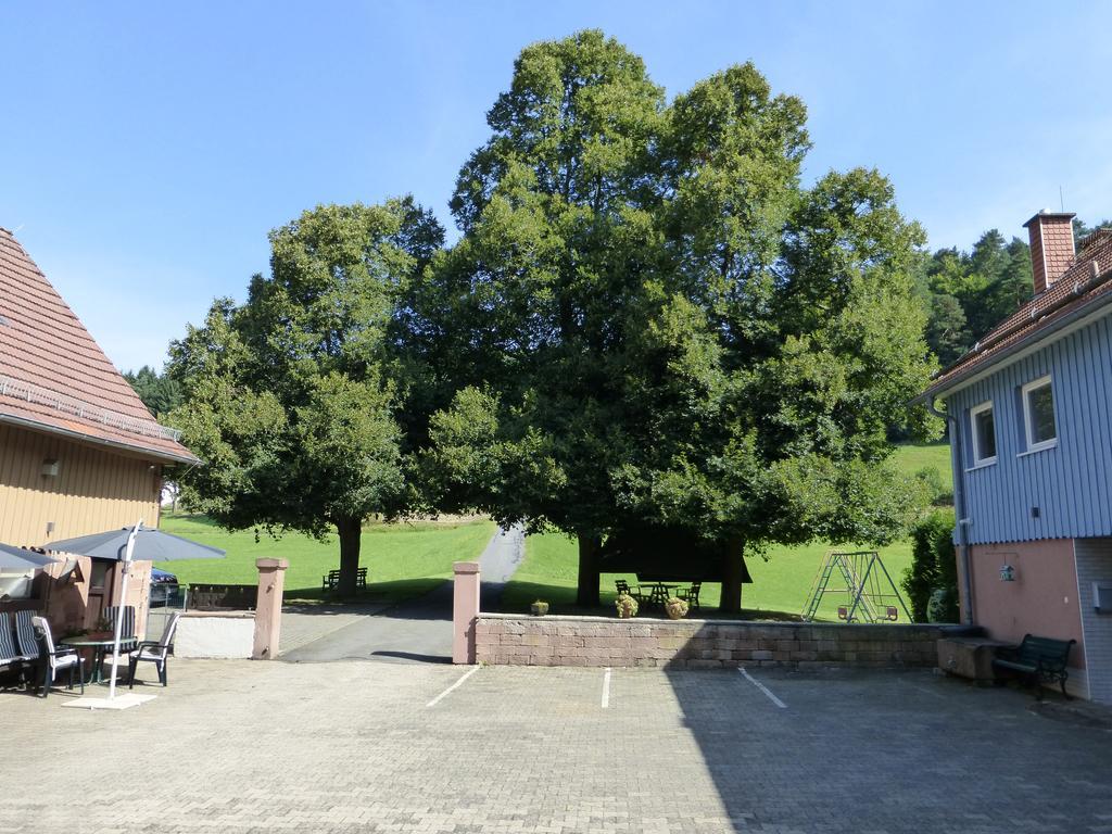 Ferienwohnungen Zur Muehle Mossautal Exterior foto